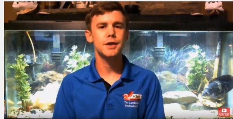 YouTube Money Channels Coin and Currency Videos