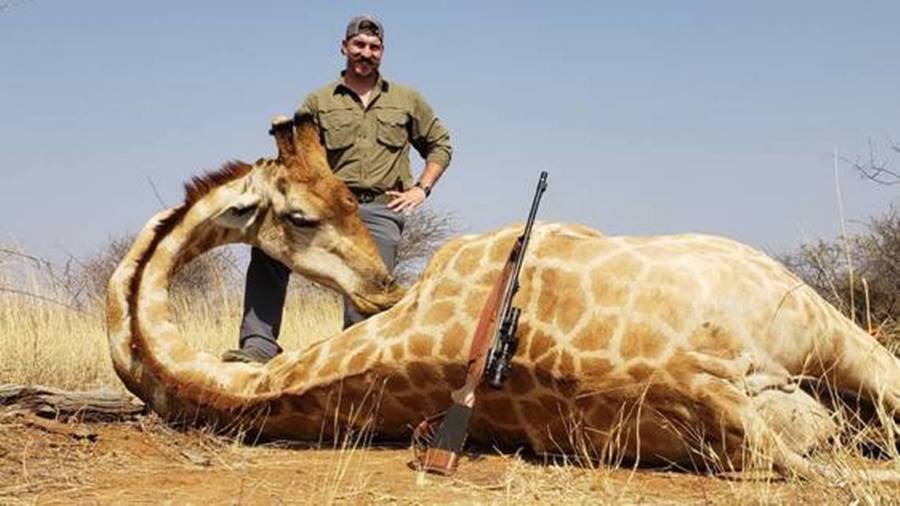 commissioner Blake Fischer kills giraffe