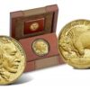 US Mint Sales: 2019-W Proof American Gold Buffalo Debuts 2 $50 gold buffalo head indian cent